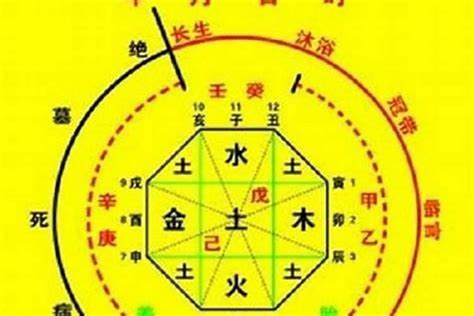 壬寅年五行|壬寅年五行属什么 过林之虎